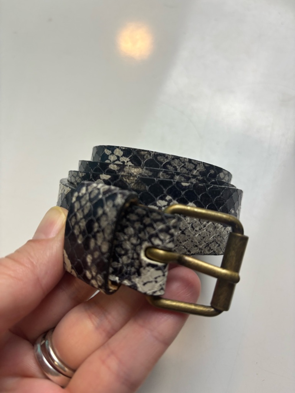 Hyde Collection Gray Faux Snakeskin Belt sz S